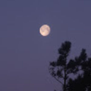 Meet your Posher, As